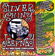 Silver-Shiny-Jeepney
